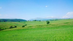 Qələdüz Kəndi: Tarixi İzlər, Toponim Səciyyəsi