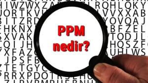 PPM nədir? Əsas prinsipi, Hesablanma qaydası
