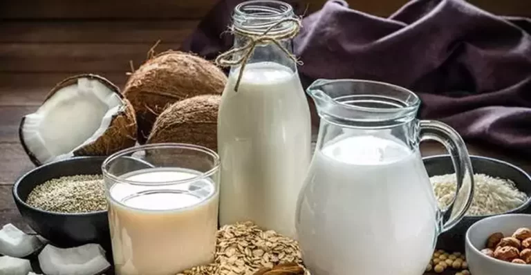 Qımız: Hazırlanma Texnologiyası, Qida Dəyəri