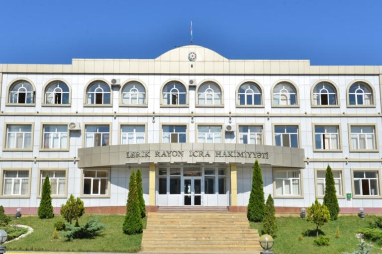 Lerik Rayon İcra Hakimiyyəti: İdarəetmə Sistemi, Xidmətləri