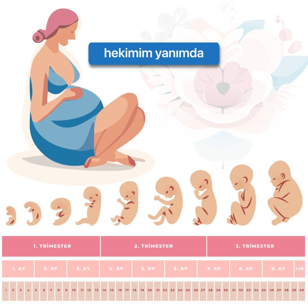 Gəbəlik: Hesablanması, Sinonimi