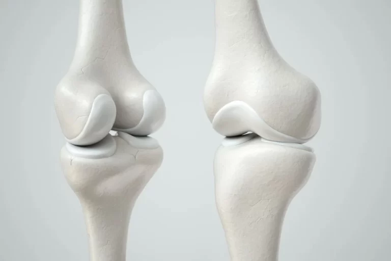 Qığırdaq : Anatomik quruluşu, Növləri, Əhəmiyyəti