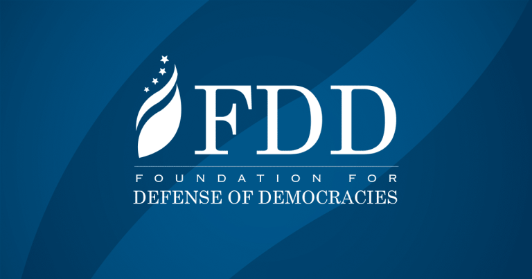 Demokratiyaları Müdafiə Fondu ( FDD) : Tarixi, Fəaliyyəti, İş prinsipləri