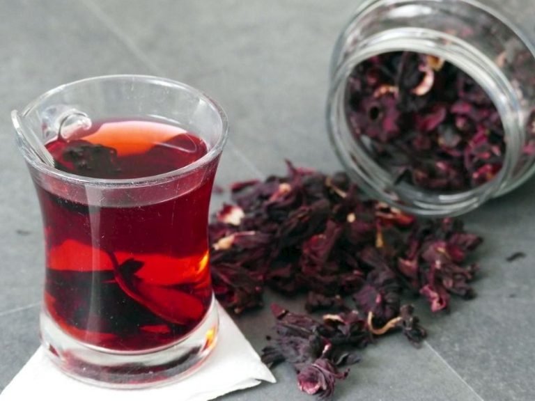 Hibiskus Çayı: Hazırlanması, Dəmləmə Xüsusiyyətləri