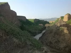 Gəgəli Bələdiyyəsi: Yaranması, İnfrastruktur, Xidmətləri