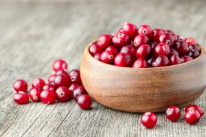 Klukva(Quşüzümü) : Botaniki Təsvir, Faydaları, Təbii Yayılması