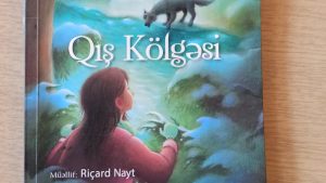 Qış Kölgəsi (Riçard Nayt) : Mövzu və Obrazlar
