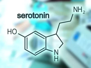 Xoşbəxtlik Hormonu: Serotonin, Endorfin