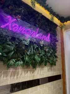 Xəngəland : İnteryer, Məkan, Menyu