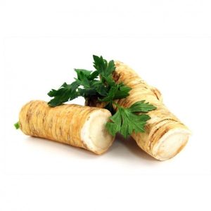 Xren (Turpotu) : Çoxillik Ot Bitkisi, Mətbəxdə və Təbabətdə Yeri